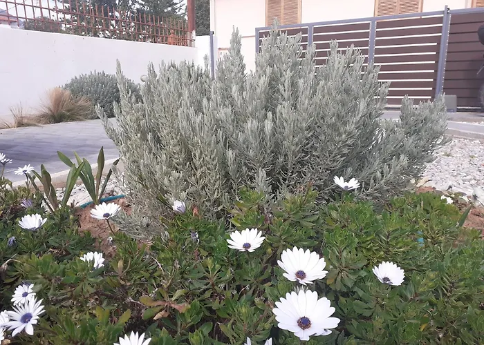 Michael's Greek House 阿尔戈斯