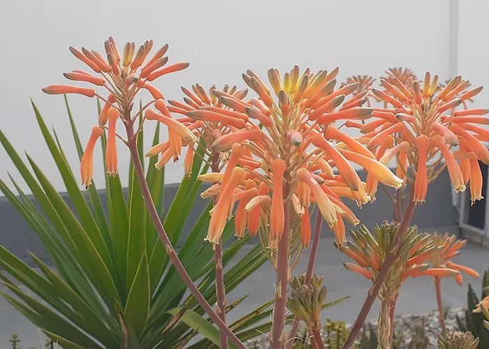 Michael's Greek House 아르고스