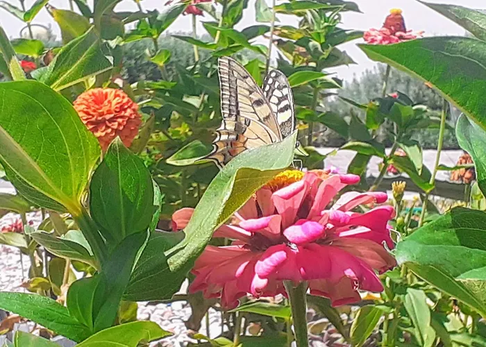 Villa Michael's Greek House Argosz