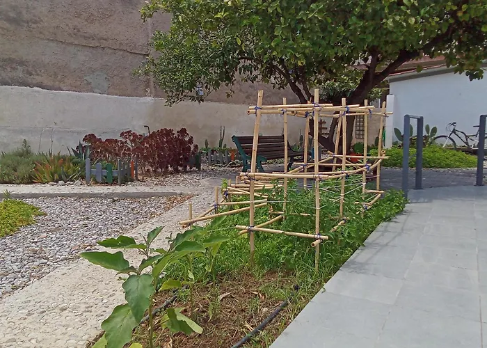 Michael's Greek House 别墅